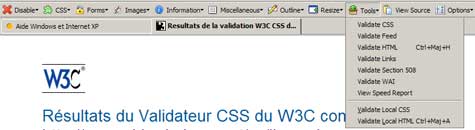 W3C