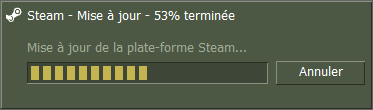 Installation Steam 1