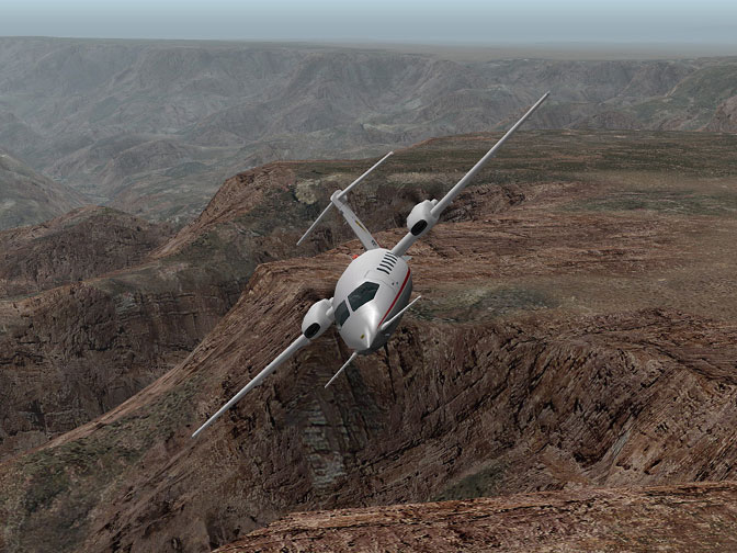 Microsoft Flight Simulator : Cessna