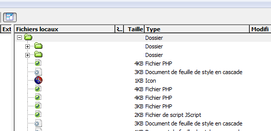 Dossiers et fichiers invisibles sous Dreamweaver