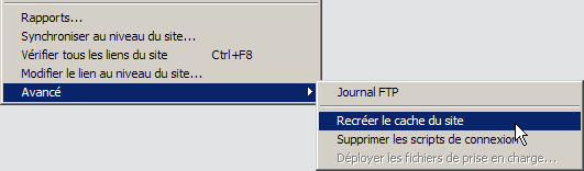 Recréer le cache du site