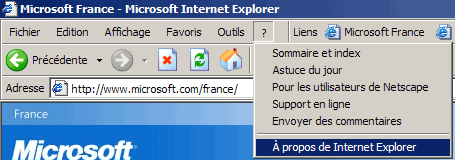 A propos d'Internet Explorer