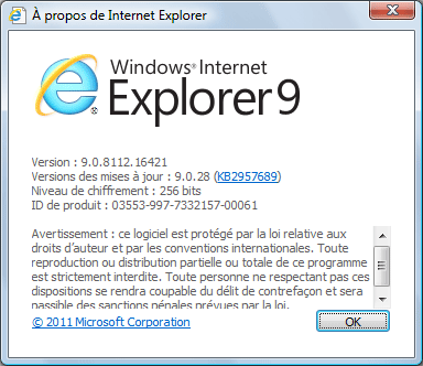 A propos d'Internet Explorer