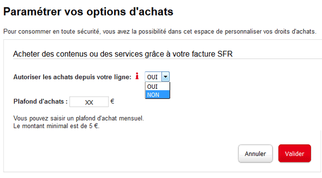 SFR - Paramétre vos options d'achats