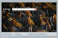 Recherche sur Internet avec Bing de Microsoft