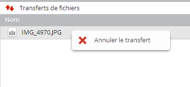 MEGA : Annuler transfert